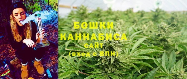не бодяженный Нефтегорск