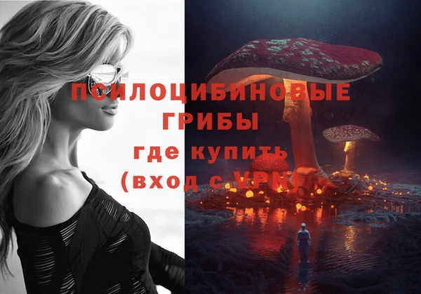 дживик Нефтекумск