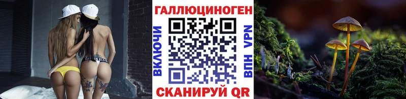 Галлюциногенные грибы MAGIC MUSHROOMS  цена наркотик  Шлиссельбург 