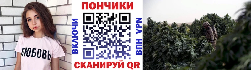 Бошки Шишки Amnesia  Шлиссельбург 